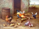 Chickens and Doves