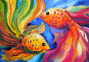 Goldfish Couple